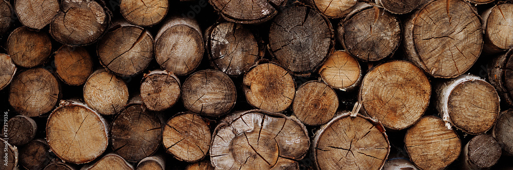 Naklejka premium Cross section of tree trunks, timber background. Log trunks pile, the logging timber wood industry. Cutting tree trunks placed together for interior decorate. Banner with copy space.