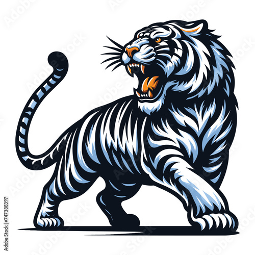 Wild roaring white tiger full body vector illustration, zoology illustration, animal predator big cat design template isolated on white background © lartestudio