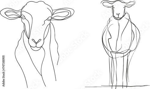 One line sheep design silhouette