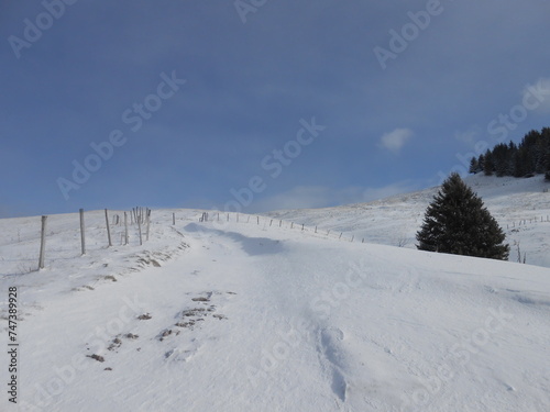 paysage hivernal d'une route enneigée sur le plateau de Guéry situé au Mont d'Or en Auvergne