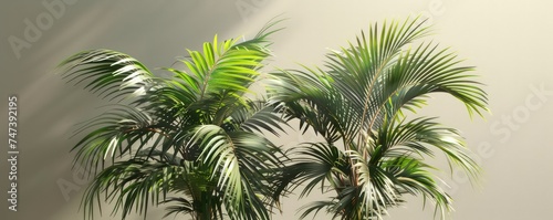 small palms  green and brown  green and gray  modern design  modern  isolated figures  floral still-lifes