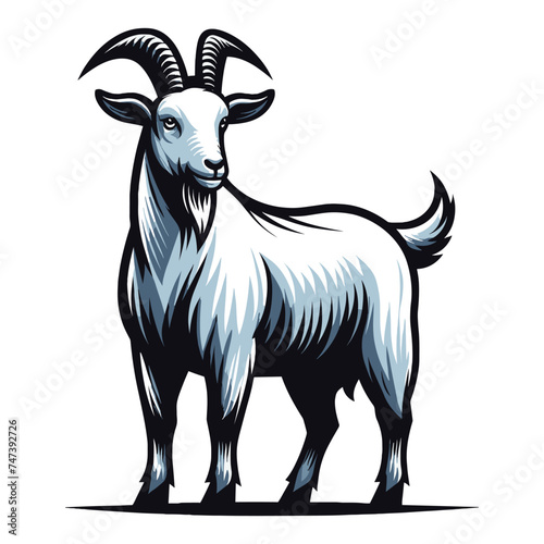 Goat full body vector illustration, farm pet, animal livestock, for butchery meat shop and dairy milk product, design template isolated on white background
