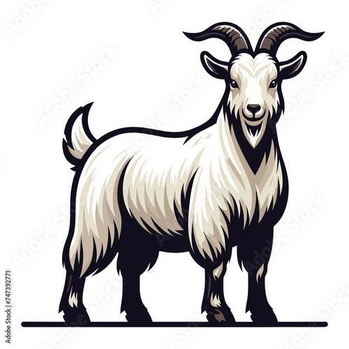 Goat full body vector illustration, farm pet, animal livestock, for butchery meat shop and dairy milk product, design template isolated on white background
