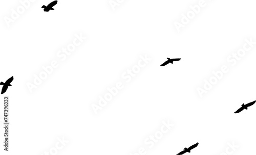 Nuée d'Oiseaux en vol, vecteur noir fond transparent 