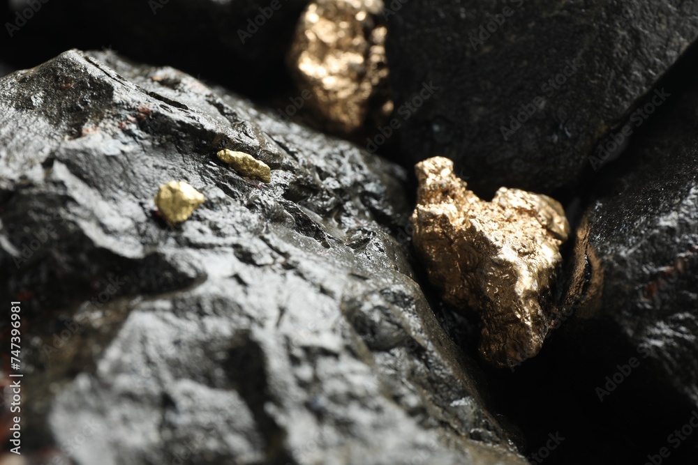Shiny gold nuggets on wet stones, closeup Shiny gold nuggets on wet stones, closeup