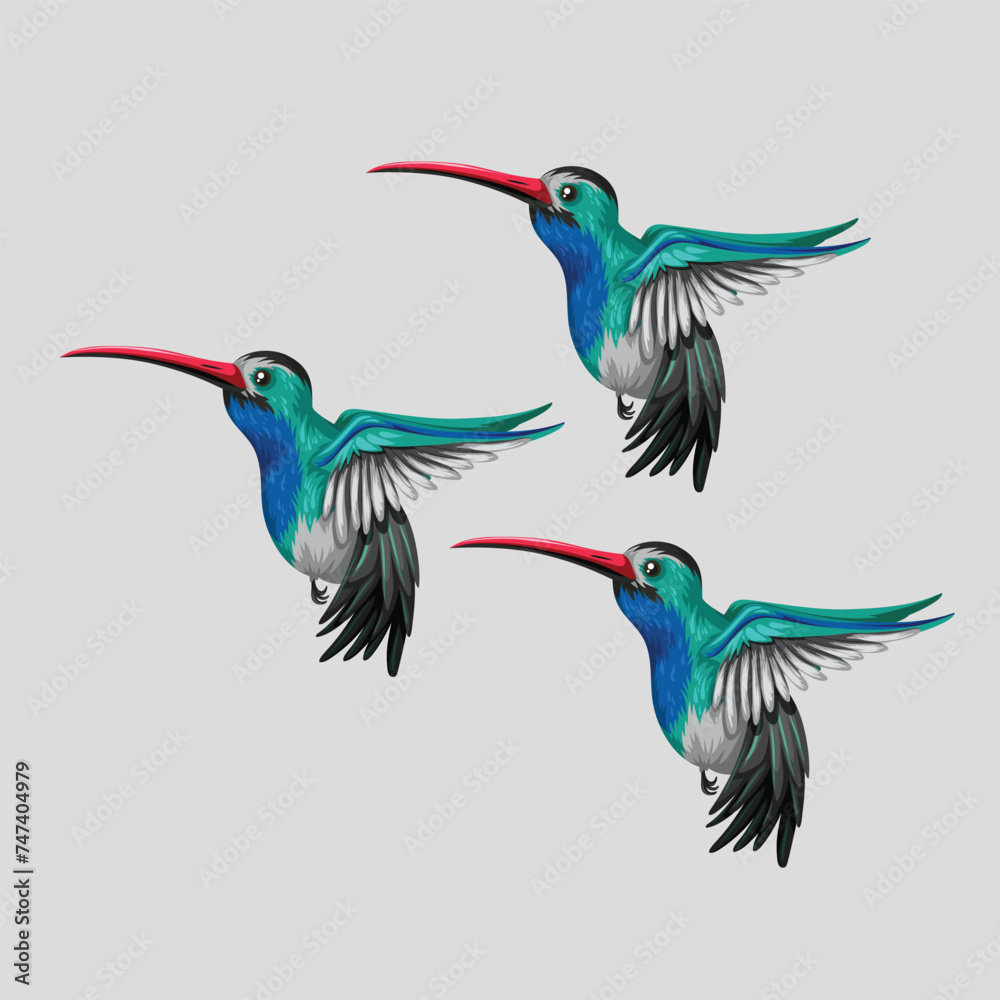 Obraz premium Collection of birds, lilac breasted roller, bullfinch, red bellied pitta, great tit, kingfisher, northern cardinal, bee eater, sparrow, superb fairy vector Illustrations