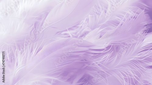 Soft purple feather Abstract background texture. wallpaper  furry. copy space. 
