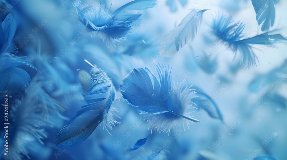 Falling Bright Blue feather Abstract background texture. Falling Bright Blue feather Abstract background texture.