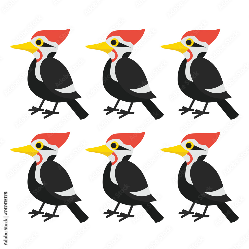 Obraz premium Collection of birds, lilac breasted roller, bullfinch, red bellied pitta, great tit, kingfisher, northern cardinal, bee eater, sparrow, superb fairy vector Illustrations