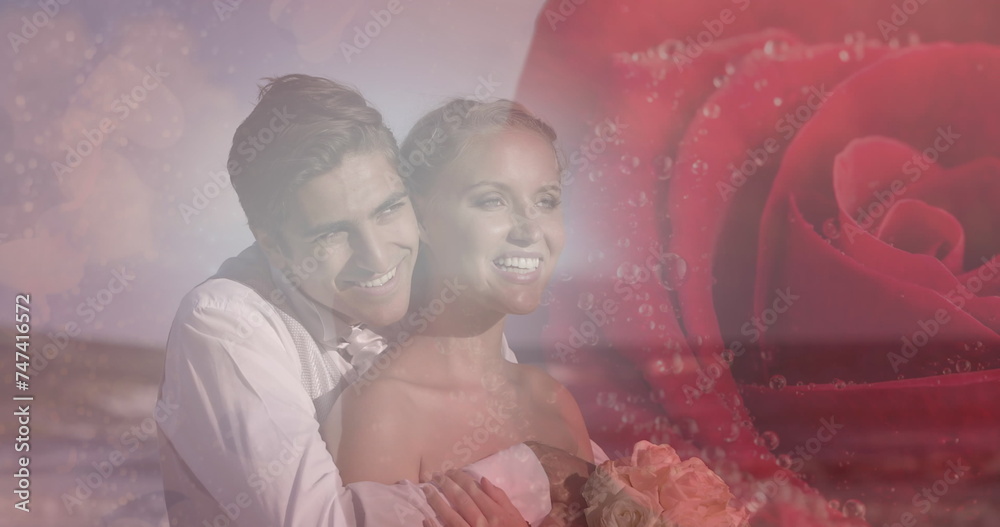 Fototapeta premium Image of rose over married couple at beach