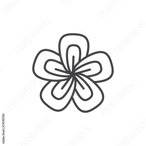 Araliya Flower Vector Line Icon illustration. photo