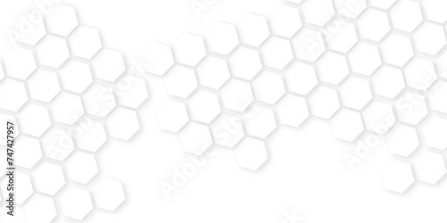 Abstract background honeycomb white and grey.ideas for your design banners , book, Website work, stripes, tiles,Futuristic abstract banner.Elegant concept design with golden line. © Md sagor
