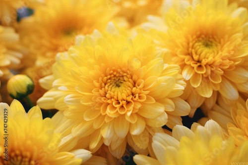 Bright yellow flowers arranged in a vase  suitable for various design projects