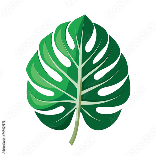 green decor monstera leaf