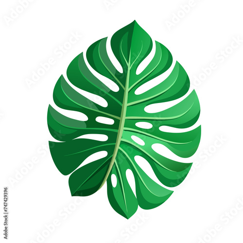 green decor monstera leaf