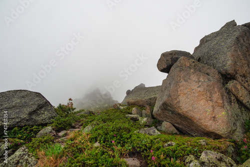 Large granite boulders in the foreground, green meadow in the fog