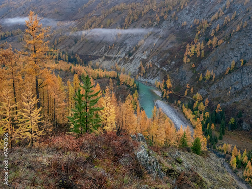 mountain river in valley with forest in autumn colors