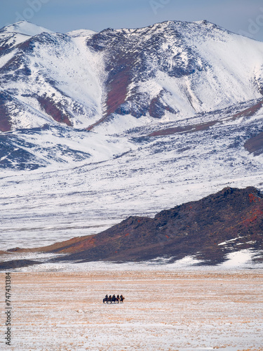 Beautiful Mongolian winter landscape, vertical view.