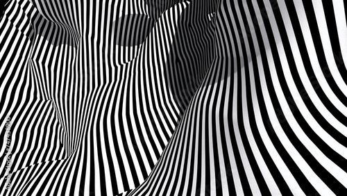 A chic geometric artwork in black and white