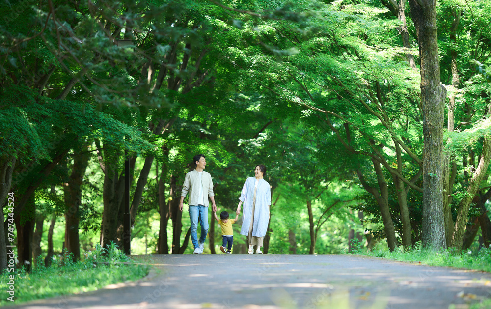 手を繋いで公園を歩く家族 手を繋いで公園を歩く家族