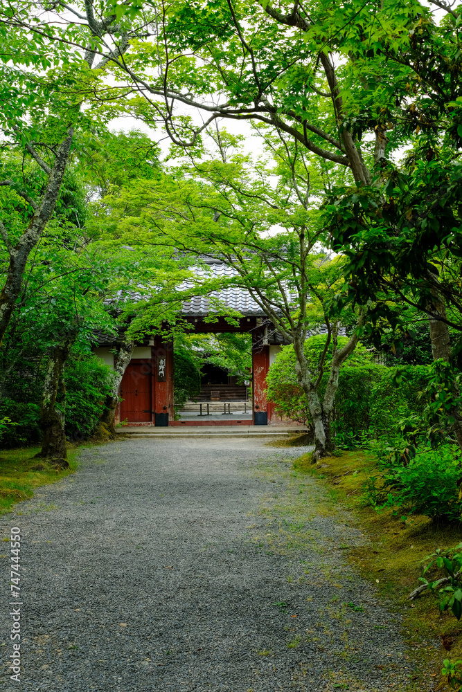 京都鷹峯常照寺の参道