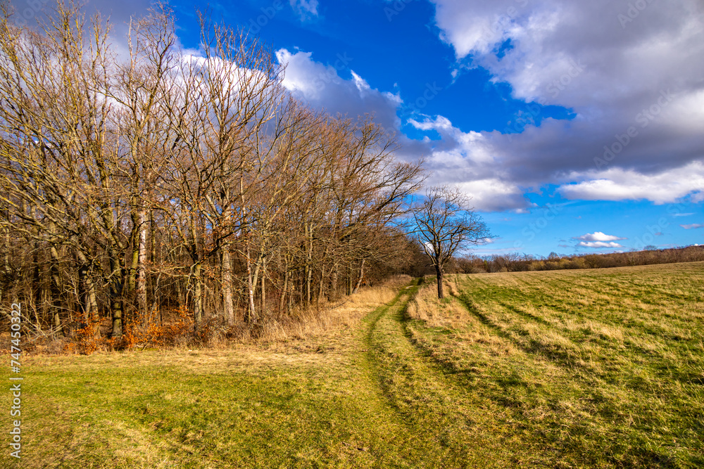 Frühlingshafte Wanderung durch das wunderschöne Saaletal bei Dornburg-Camburg - Thüringen - Deutschland