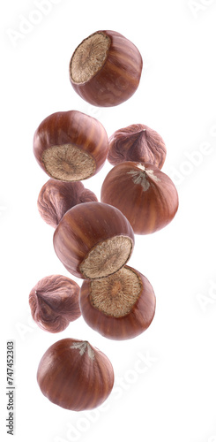 Falling hazelnuts in closeup on white background