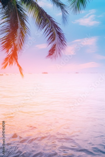 A serene ocean view with a palm tree in the foreground. Suitable for travel and nature concepts © Fotograf