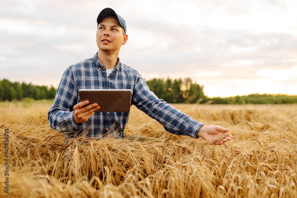 Smart farming and digital agriculture. Farmer working with Tablet on wheat field.