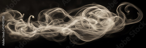 Photograph showcasing the ethereal beauty of swirling tendrils of smoke illuminated by soft, diffused light.