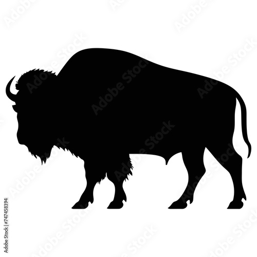 Bison silhouette. American bison black silhouette icon, vector illustration on a white background 
