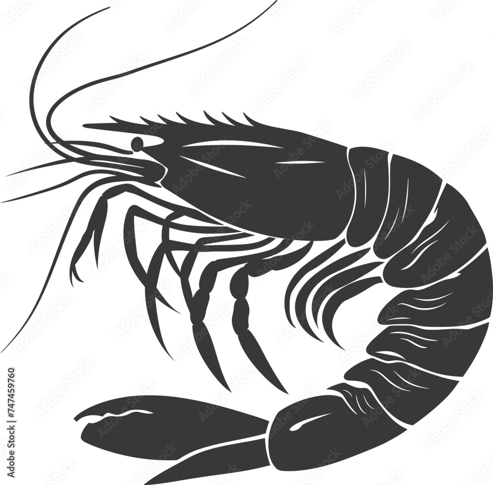Silhouette shrimp animal black color only Silhouette shrimp animal black color only