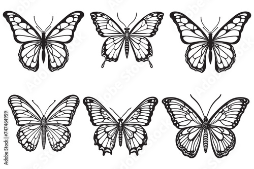 Butterfly Vector Illustrations Design © VarotChondra