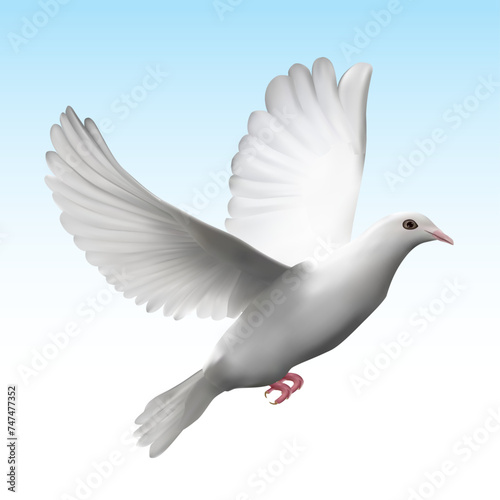 Vector of flying dove