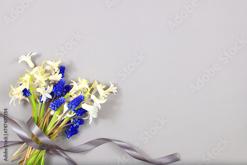 Abstract floral composition  still life  spring background or banner  Beautiful blooming hyacinths and muscari on a light background.holiday concept. Card for Mother s Day  Women s Day  