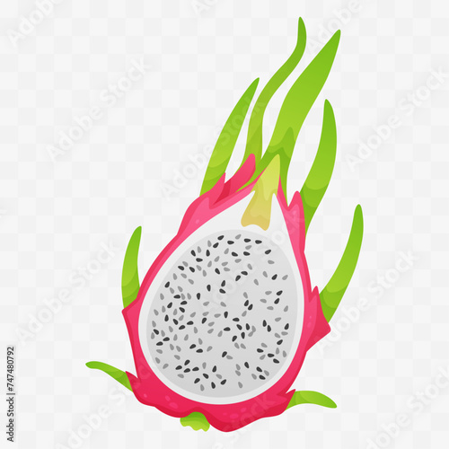 Exotic tropical fruits, half of white pitahaya, dragon fruit isolated on white background. Gradient. Vector illustration for postcard, banner, web, adv, design, arts