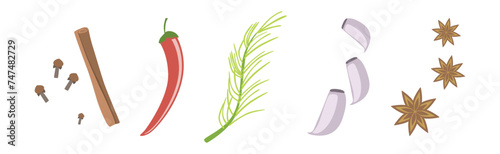 Different Spice and Condiment for Cooking Vector Set