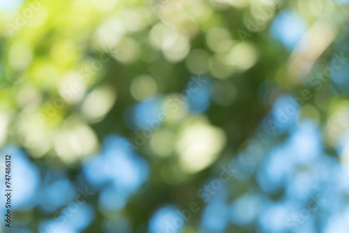 Green bokeh light nature from tree and sky background is a shiny naturally occurring shadow that is not clear but beautiful.