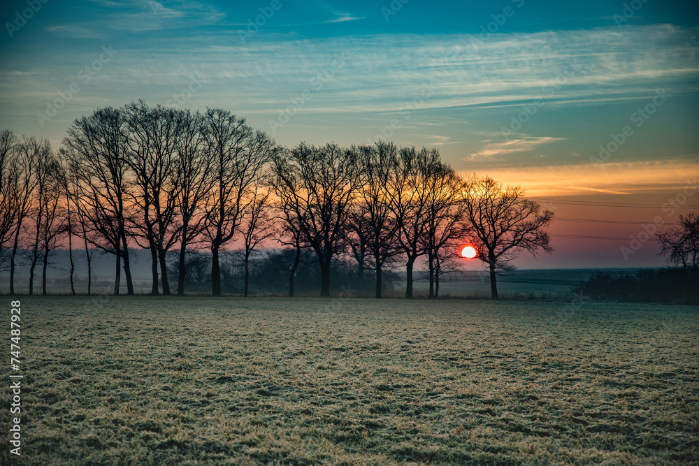 Wschód słońca na wsi zimą, widok zza drzew. Krajobraz wiejski o wschodzie słońca w zimowy poranek - obrazy, fototapety, plakaty 