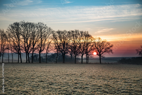 Wschód słońca na wsi zimą, widok zza drzew. Krajobraz wiejski o wschodzie słońca w zimowy poranek