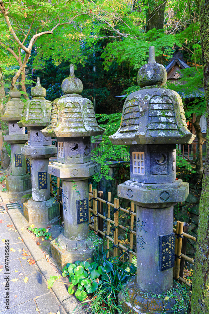 Fototapeta premium Japanese stone lantern in the garden, beautiful Autumn scenery in Japan.