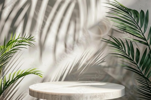 Minimalistic podium with a backdrop of natural sunlight and palm leaf Ideal for product presentations