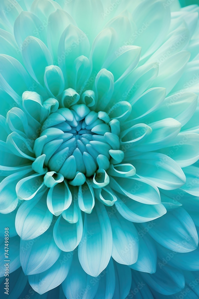 Obraz premium Close up of a large blue flower, perfect for floral backgrounds