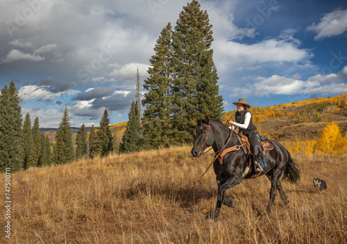 Cowgirl riding black draft horse in Colorado mountains in fall autumn