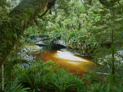 Moria Gate Arch,  Oparara Basin, Kahurangi Nationalpark, West Coast, Südinsel, Neuseeland, Ozeanien photo