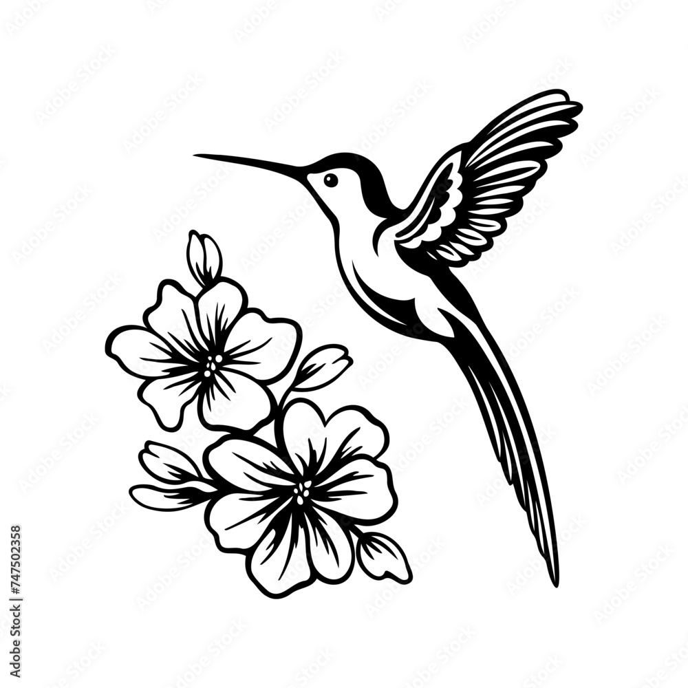 Obraz premium Hummingbird, Flying bird, vector illustration Hummingbird with flowers, Flying bird, vector illustration