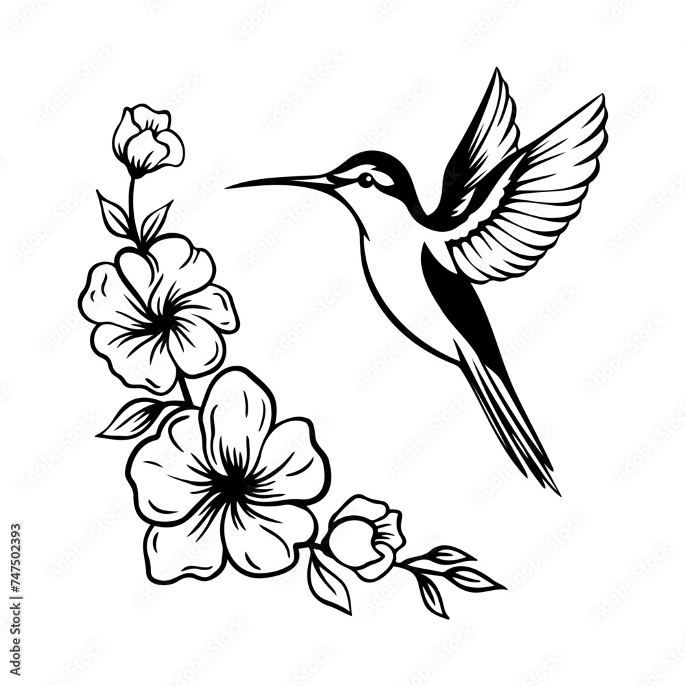 Obraz premium Hummingbird, Flying bird, vector illustration Hummingbird with flowers, Flying bird, vector illustration