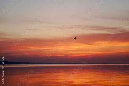 sunset on the beach. sunset on the sea. kite surfing at sunset.