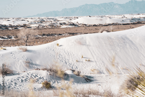 desert scene