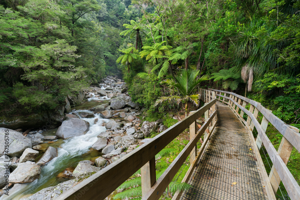 Wainui Falls, Tasman, Südinsel, Neuseeland, Ozeanien Wainui Falls, Tasman, Südinsel, Neuseeland, Ozeanien